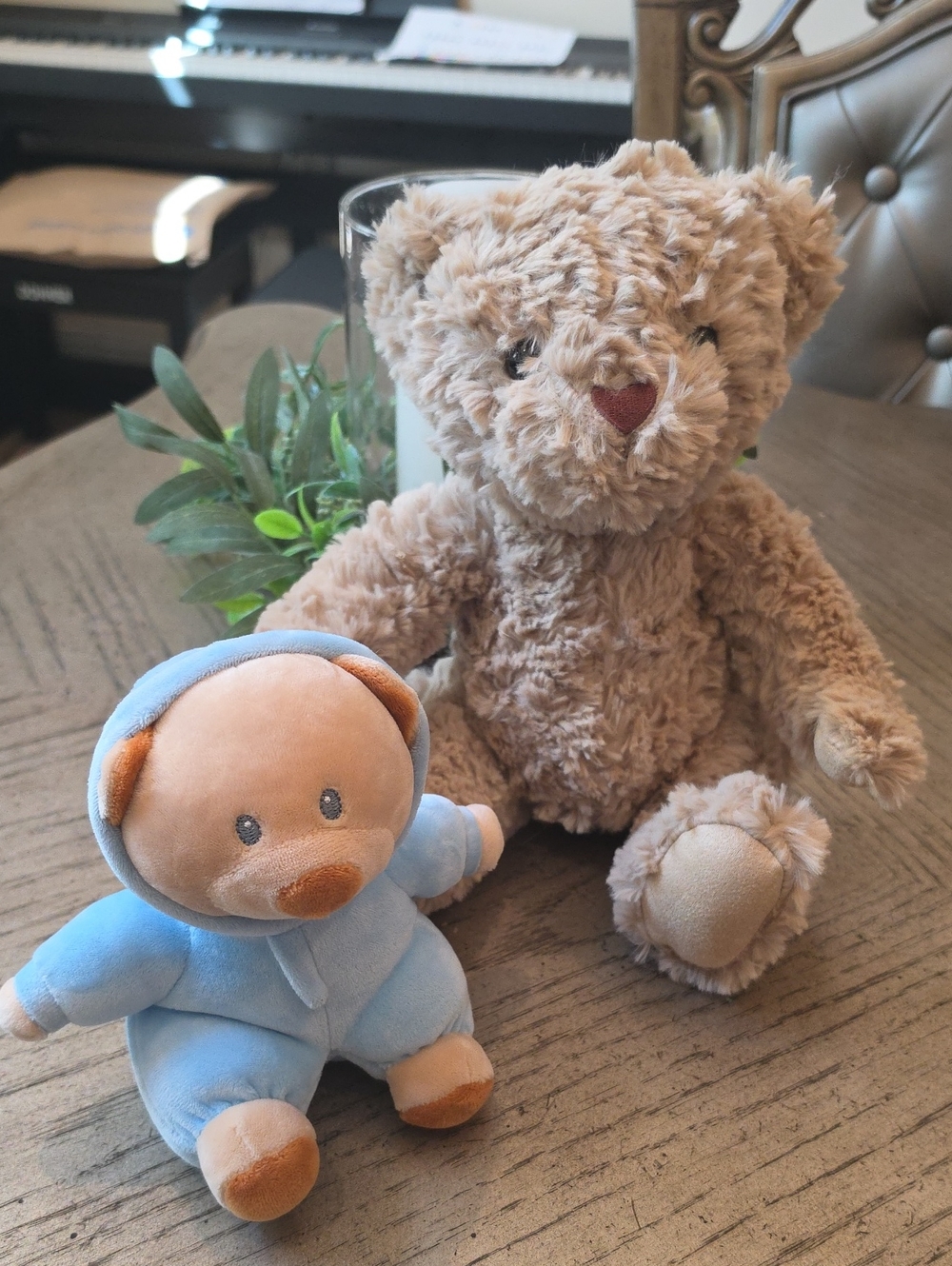 Ty Pj Bear Blue with Brown Bear Plush Duo